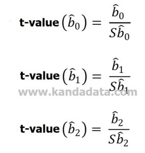 How to Calculate Variance, Standard Error, and T-Value in Multiple ...