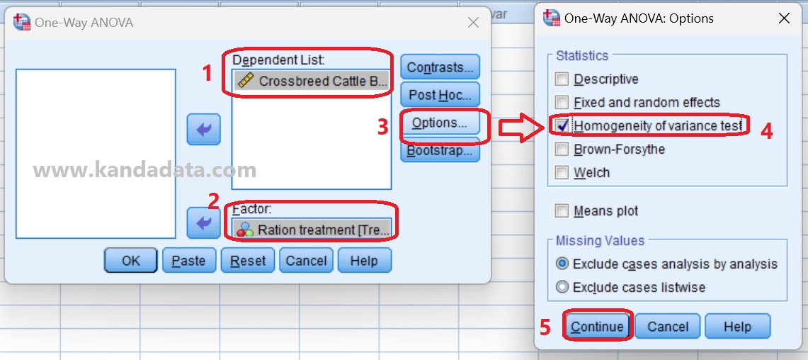 How to test homogeneity of variance in one-way ANOVA - KANDA DATA